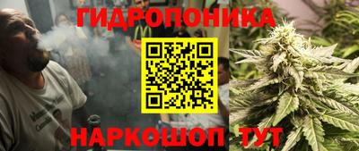крисы Чебоксары